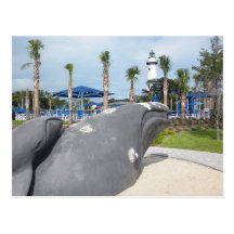 Neptune Park Post Card