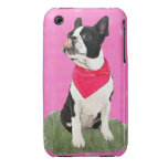 Nessie the Boston iPhone 3 Cases