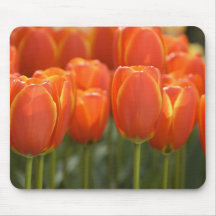 Netherlands aka Holland), Lisse. Keukenhof 7 Mousepad