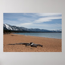 Nevada Beach Poster