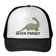 Never Forget Mesh Hats