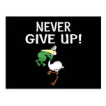 Never Give Up Post Cards