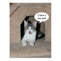 New Address Post Card