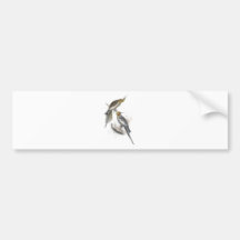 New Holland Parrakeet by Edward Lear Bumper Stickers