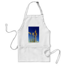 New Zealand toetoe (toitoi) flowering tall grasses Apron