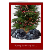 Newfies & the Christmas Cat Greeting Cards