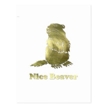 nice beaver postcards