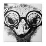 Nicolaus the ostrich in black & white graphic ceramic tile