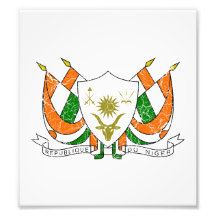 Niger Coat Of Arms Photo Art