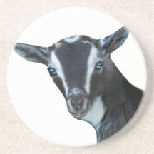 Nigerian Dwarf Goat Sandstone Coaster