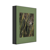 Night Heron Stretched Print Stretched Canvas Prints
