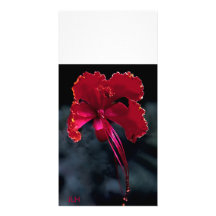 Night Lingers photo by  JLH Photo Greeting Card