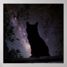 Night Watch Posters