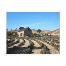 Niner Estates, Paso Robles, CA Event Centre Gallery Wrap Canvas