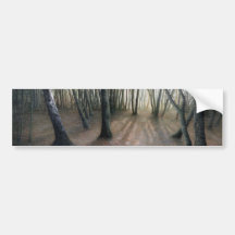 No.2 - 'After the snow' by Ron McGill. Bumper Stickers