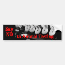 No Animal Testing car sticker Bumper Sticker