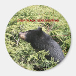 NO  BLACK BEAR HUNTING MAGNET