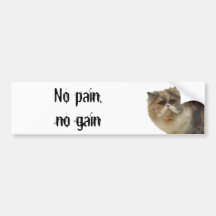 No Pain, No Gain Bumper Sticker