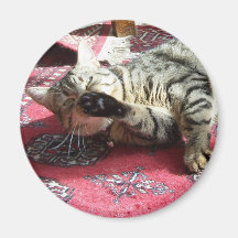 no photographs please refrigerator magnet