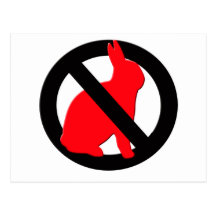 No Rabbits Allowed Postcards