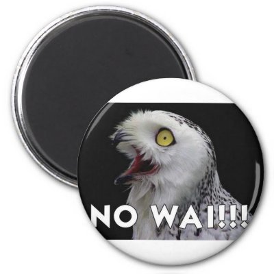owl no wai