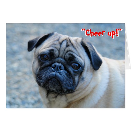No Wrinkles Pug Birthday Card