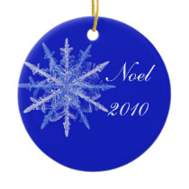 Noel 2010 ornaments