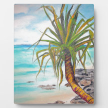 Noosa Heads Photo Plaques