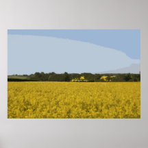 NORFOLK FIELDS OF GOLD POSTER