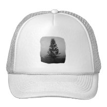 Norfolk Pine Black and White Picture Foggy Trucker Hat