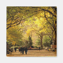 North America, USA, New York, New York City. 12 Magnet
