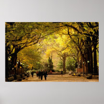 North America, USA, New York, New York City. 12 Posters