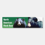 North American Black Bear Bumper Sticker