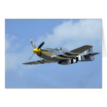 North American P-51D Mustang, Little Horse Greeting Cards