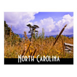 north carolina post cards