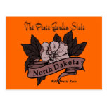 North Dakota Peace Garden State Prarie Rose Post Cards