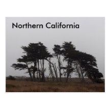 Northern California Post Cards
