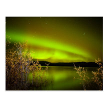 Northern lights (Aurora borealis) Post Cards