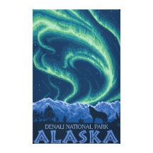 Northern Lights - Denali National Park, Alaska Gallery Wrapped Canvas