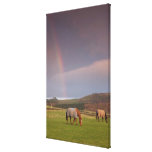 Northumberland, England Stretched Canvas Print