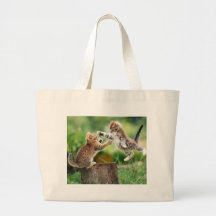 Norwegian Forest kittens Tote Bag