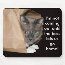 Not Coming Out! Mouse Pad