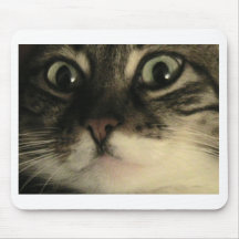 not sure about the mouse,but you may like it mouse pads