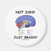 Not Zany Just Brainy (Brain Anatomy Humour) Refrigerator Magnet