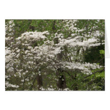 Note Card Dogwoods