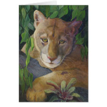 Note Card - Florida Panther
