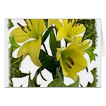 Note Card with Calendar