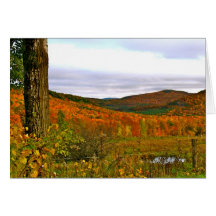 Notecard Vermont Fall