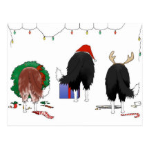 Nothin' Butt A Border Collie Christmas Post Cards
