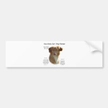 Nova Scotia Duck Tolling Retriever History Design Bumper Stickers